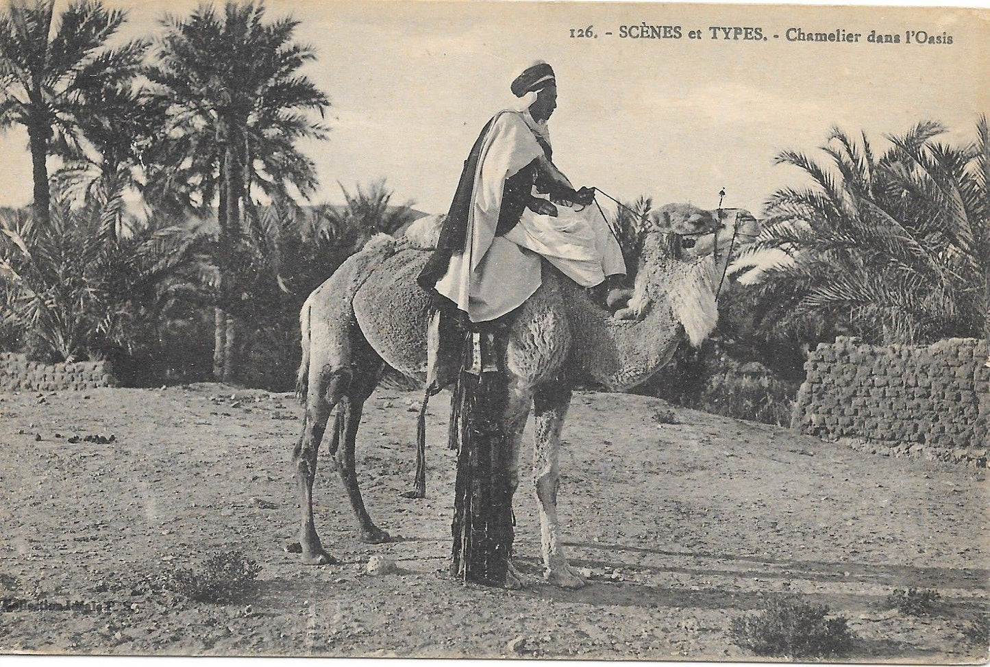 SCENES ET TYPES D'AFRIQUE - CHAMELIER DANS L'OASIS