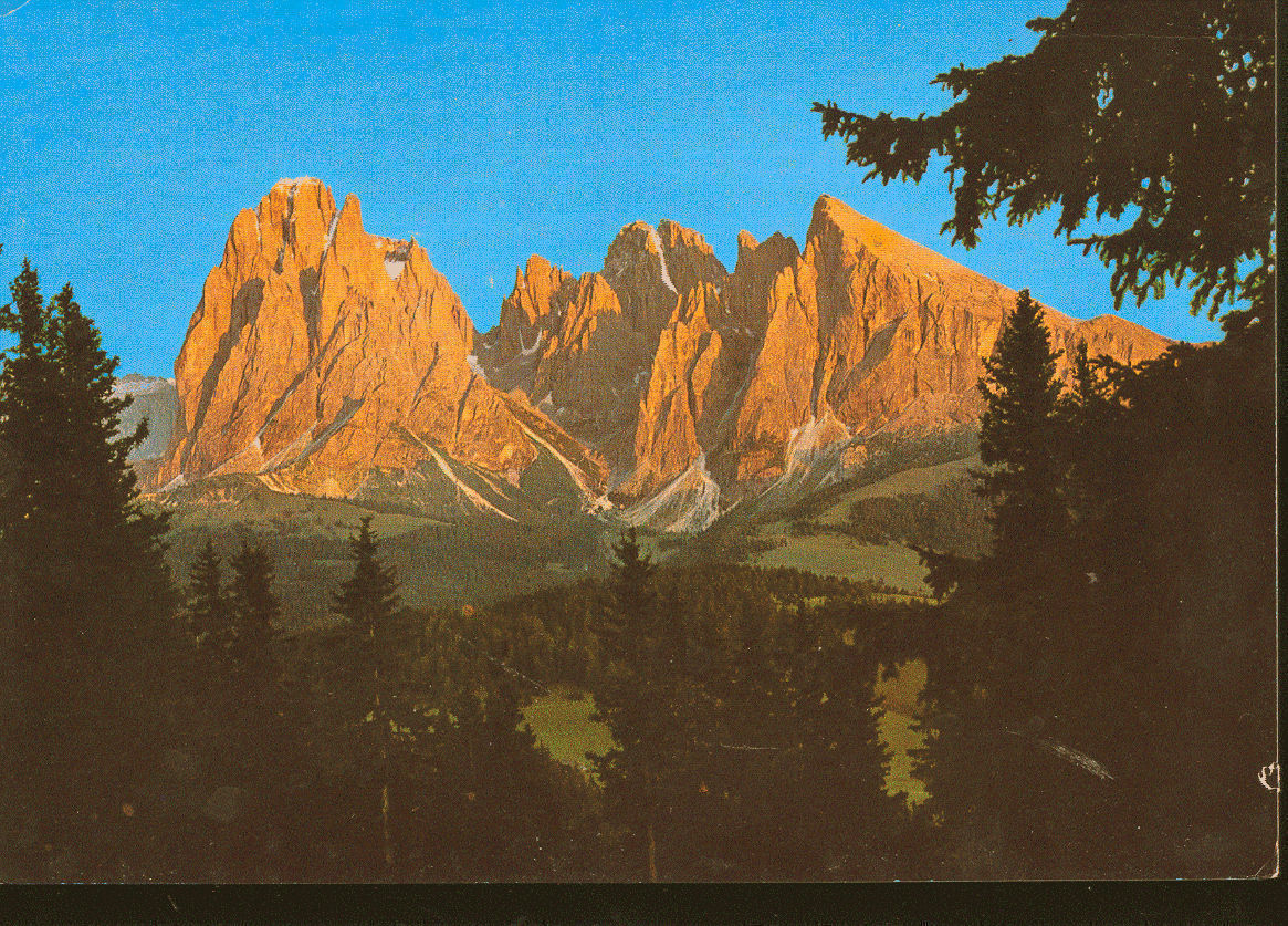 ALPE DI SIUSI - IL SASSOLUNGO - V