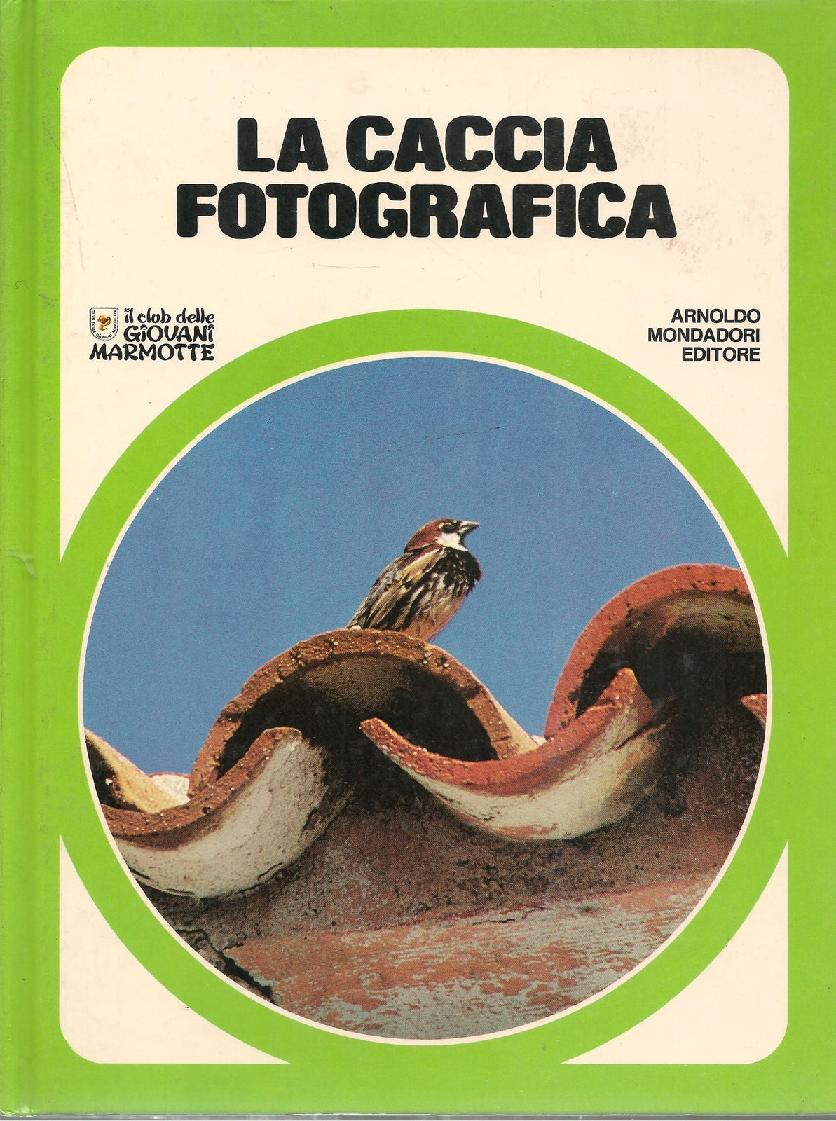 LA CACCIA FOTOGRAFICA - IL CLUB DELLE GIOVANI MARMOTTE
