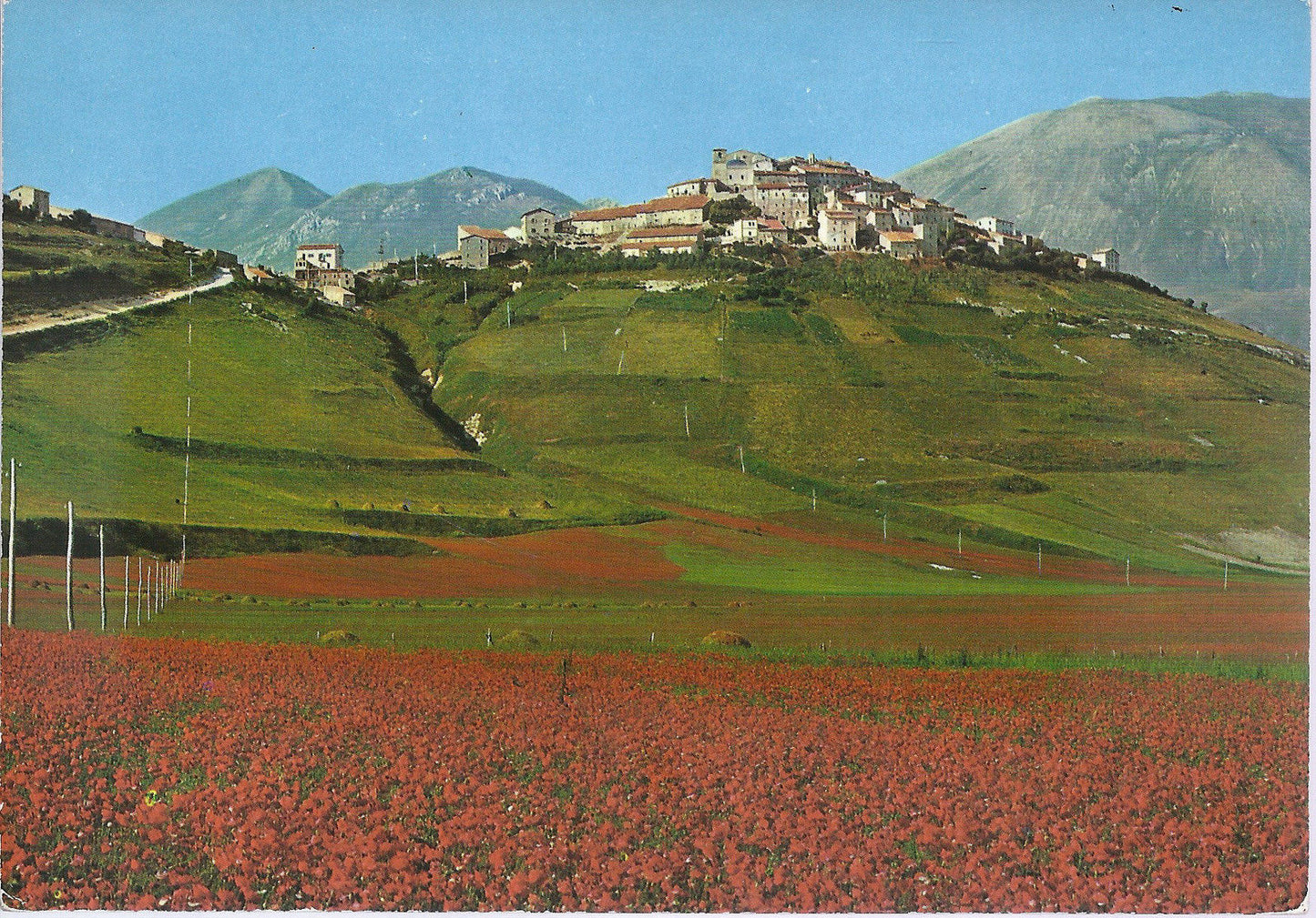 CASTELLUCCIO DI NORCIA - PIANO GRANDE NEL PERIODO DI FIORITU