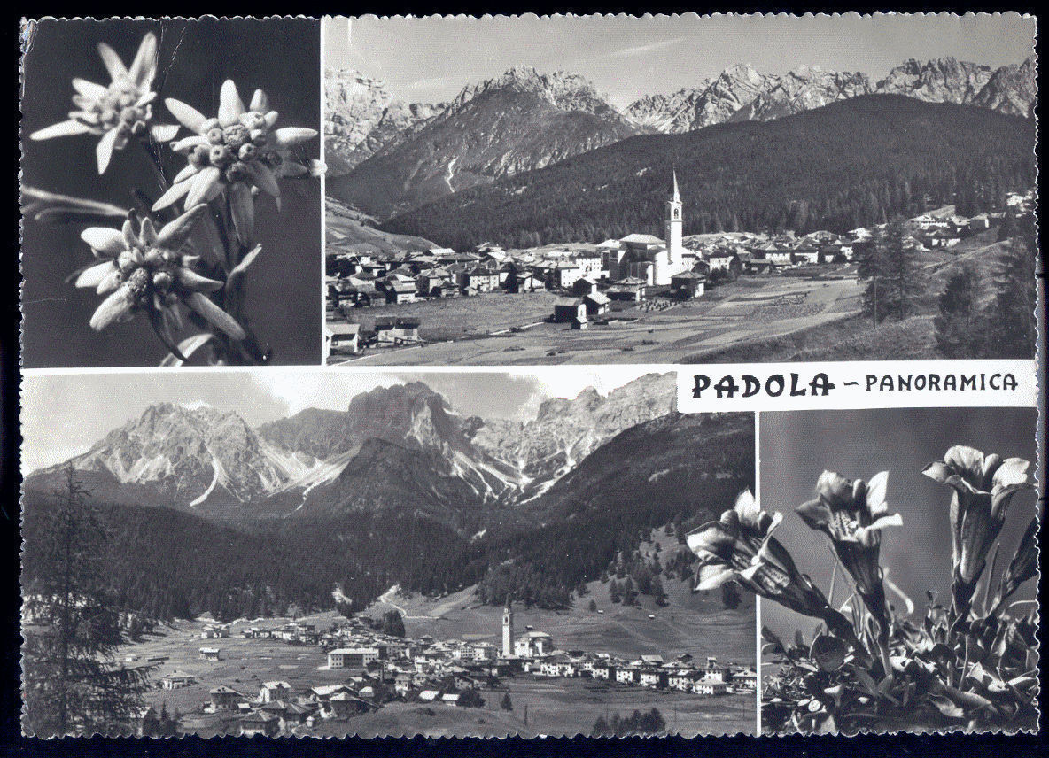 PADOLA - 2 VEDUTE PANORAMICHE - V1961