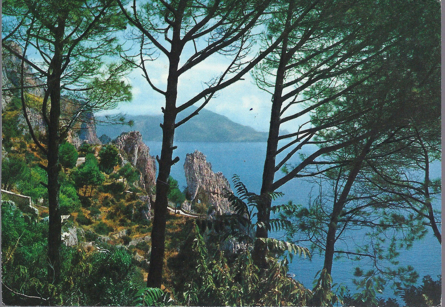 CAPRI - ARCO NATURALE E PANORAMA - V 1961 - FG