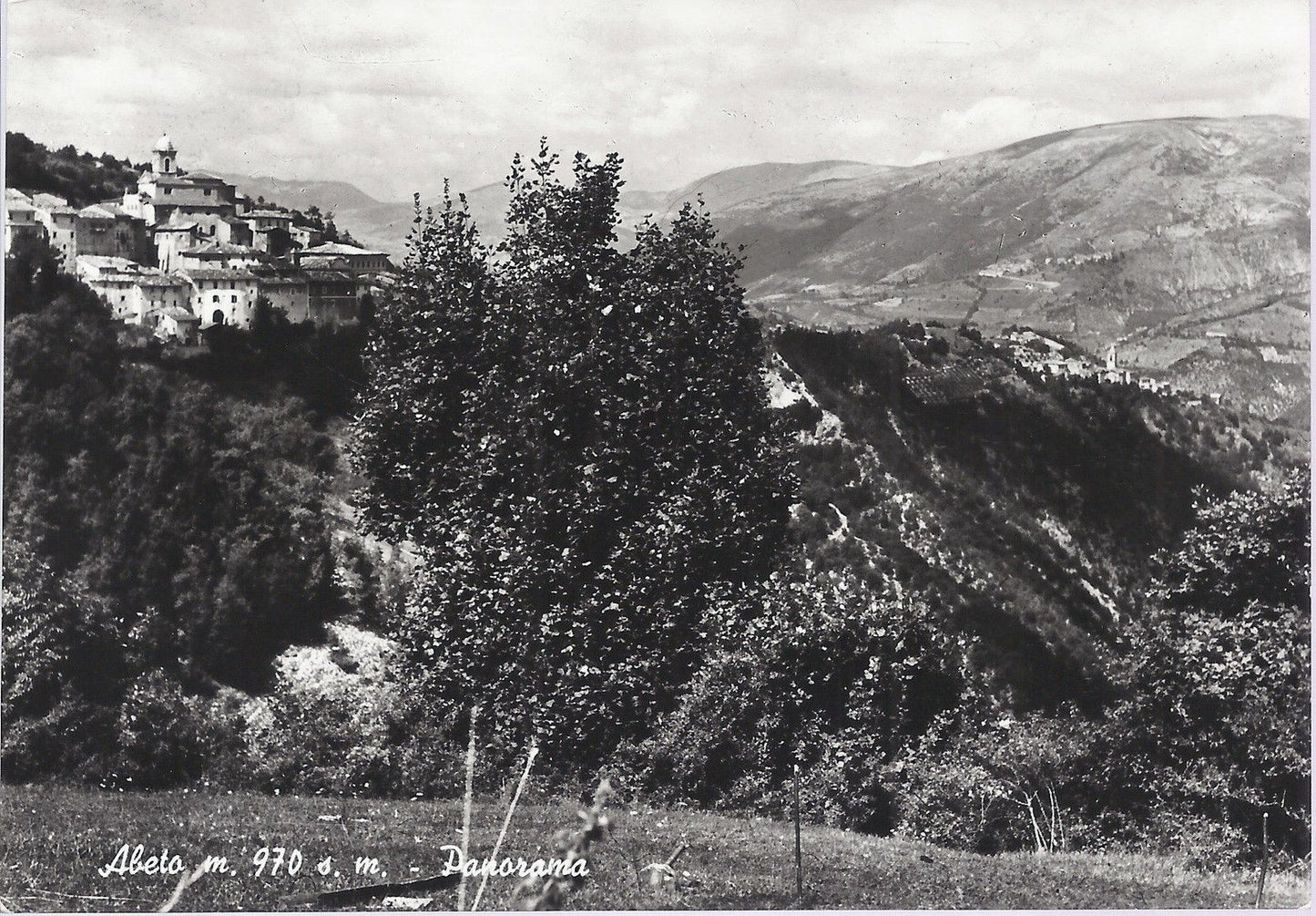 ABETO - PANORAMA - NV - FG