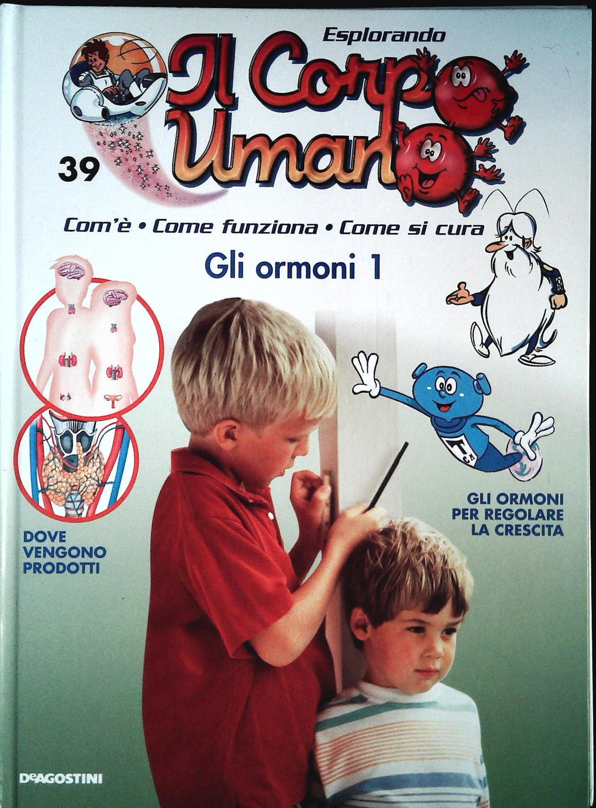 ESPLORANDO IL CORPO UMANO N. 39 - GLI ORMONI 1 - DE AGOSTINI 2004