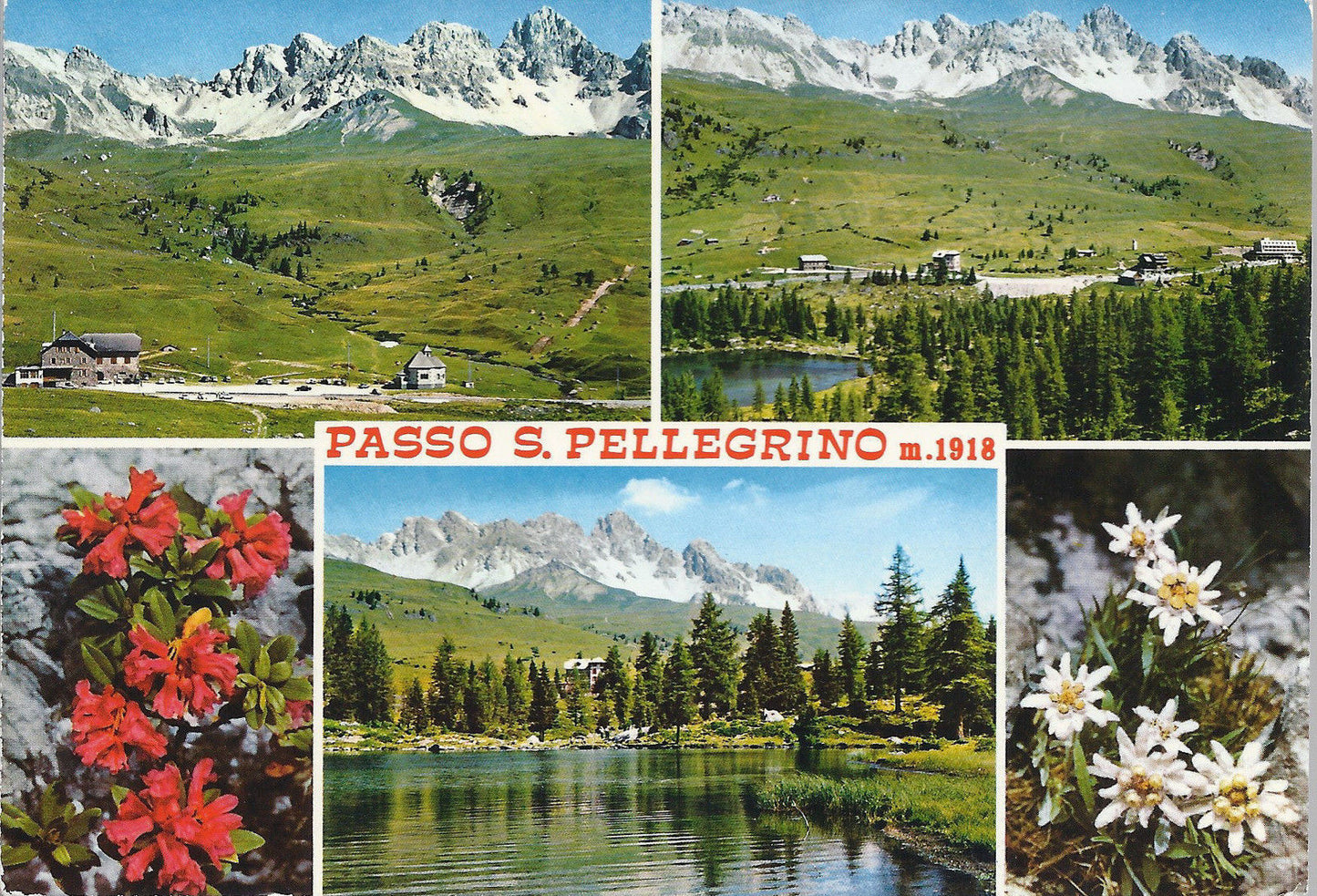PASSO S. PELLEGRINO - 3 VEDUTE - V1974