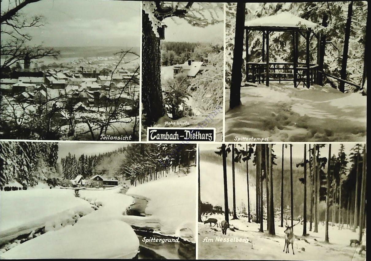 TAMBACH-DIETHARZ - CINQUE VEDUTE - V1982