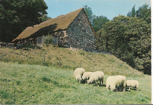 LOURDES - CITE'-SECOURS-SAINT-PIERRE - LA CHAPELLE DE S