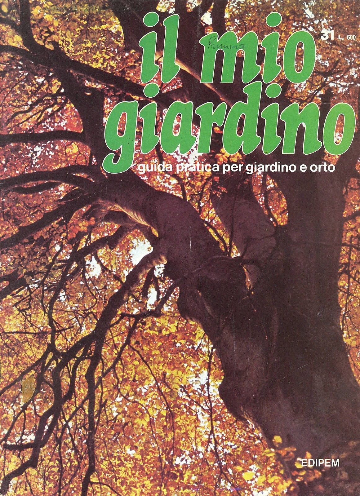 IL MIO GIARDINO N 31