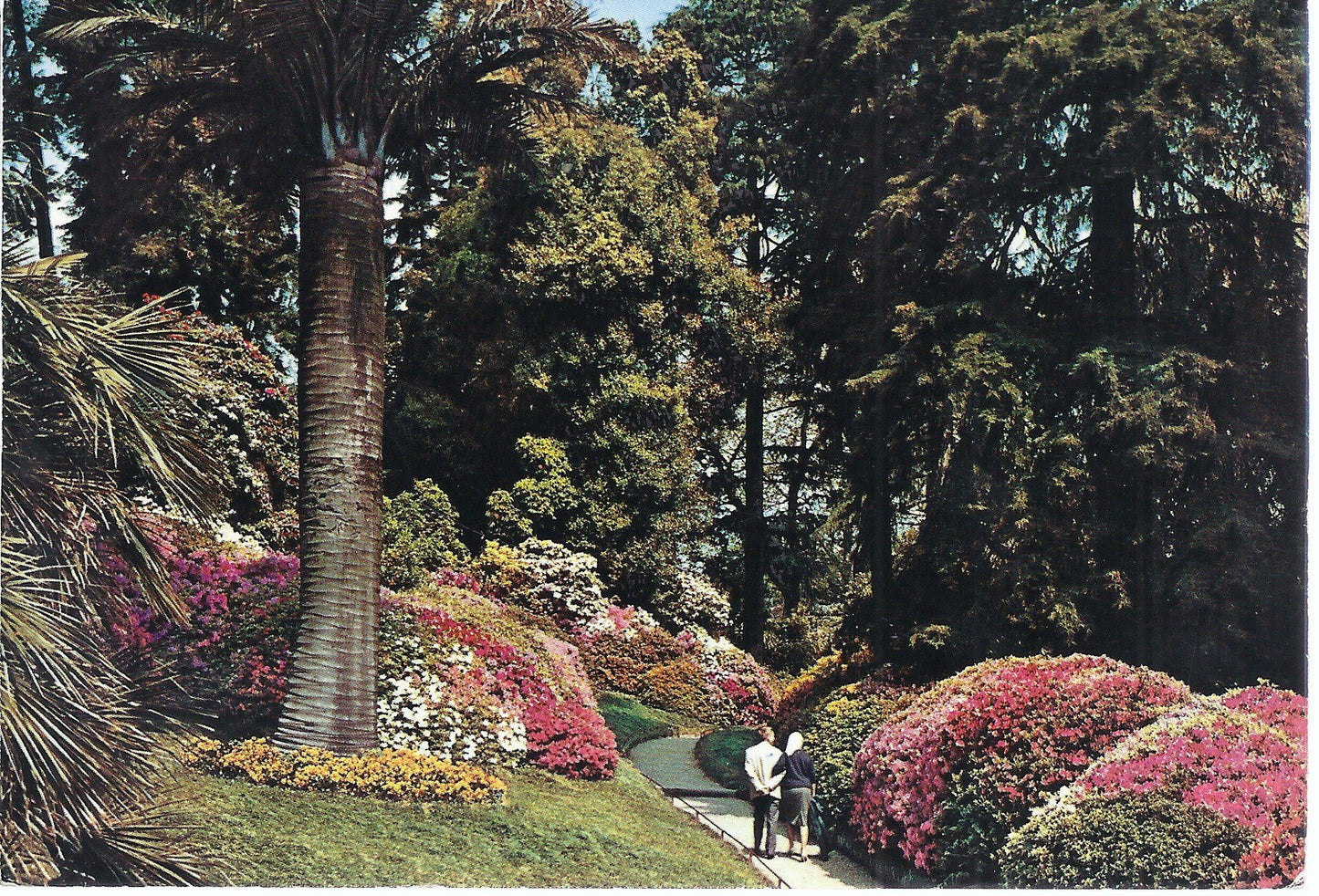 LAGO DI COMO - VILLA CARLOTTA - IL PARCO - NV - FG