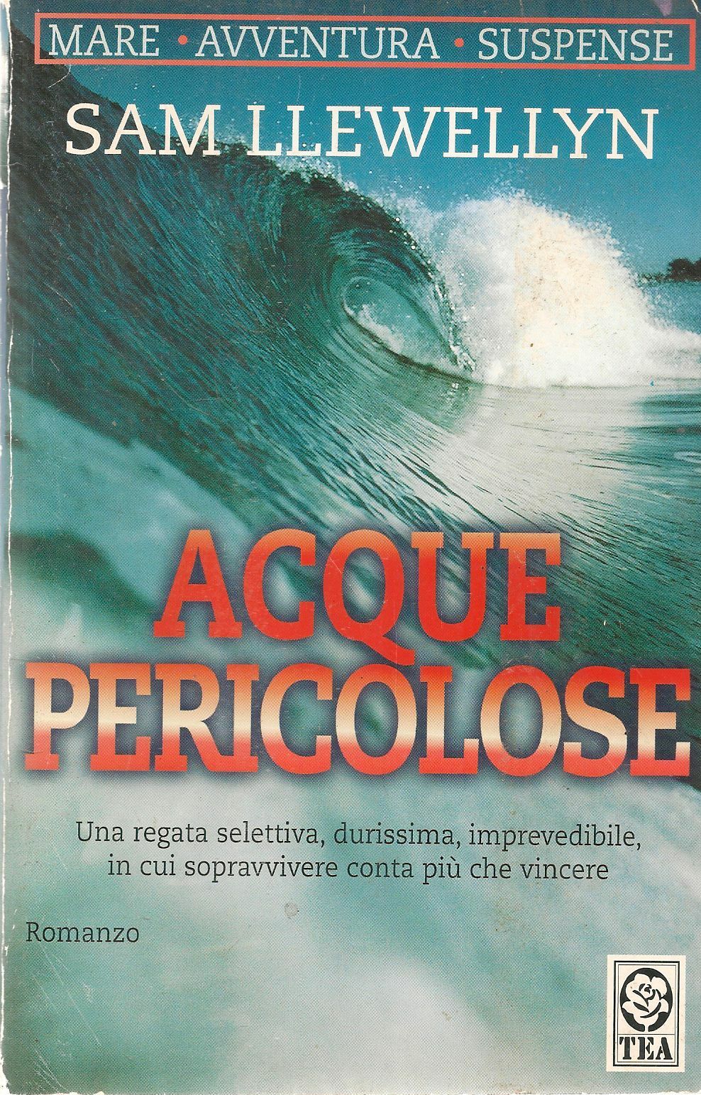 ACQUE PERICOLOSE - SAM LLEWELLYN