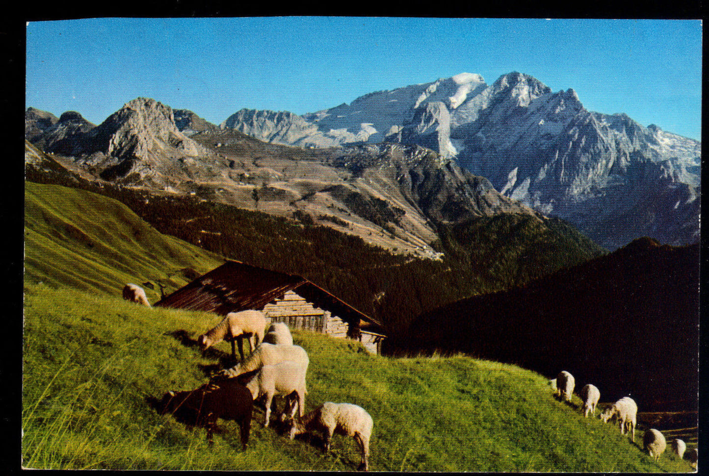 COL RODELLA VERSO LA MARMOLADA - NV