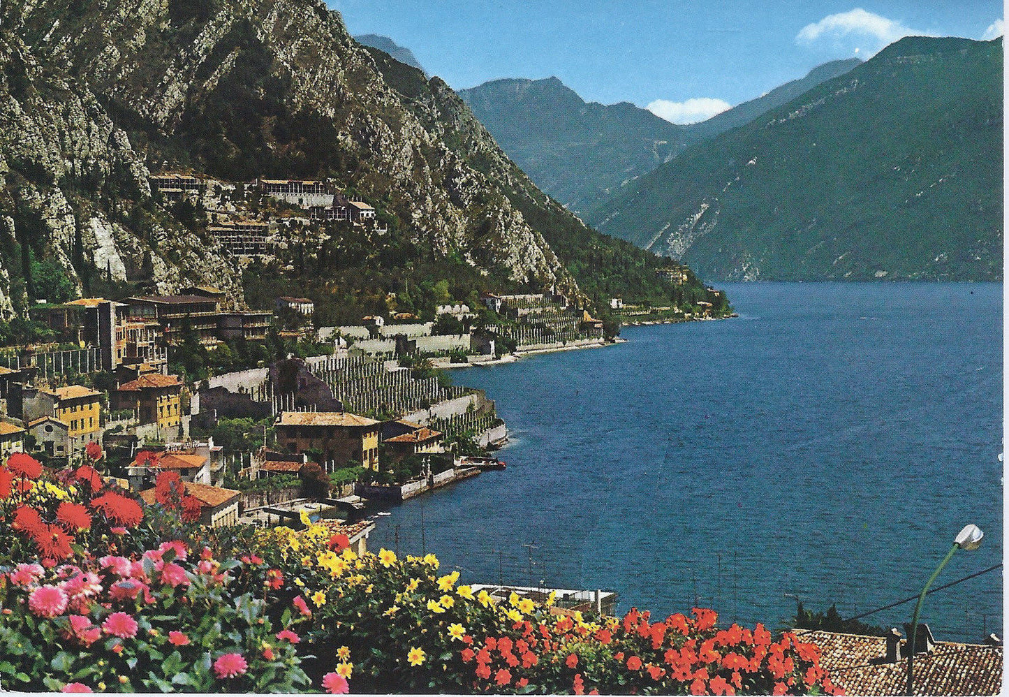 LIMONE DEL GARDA - NV