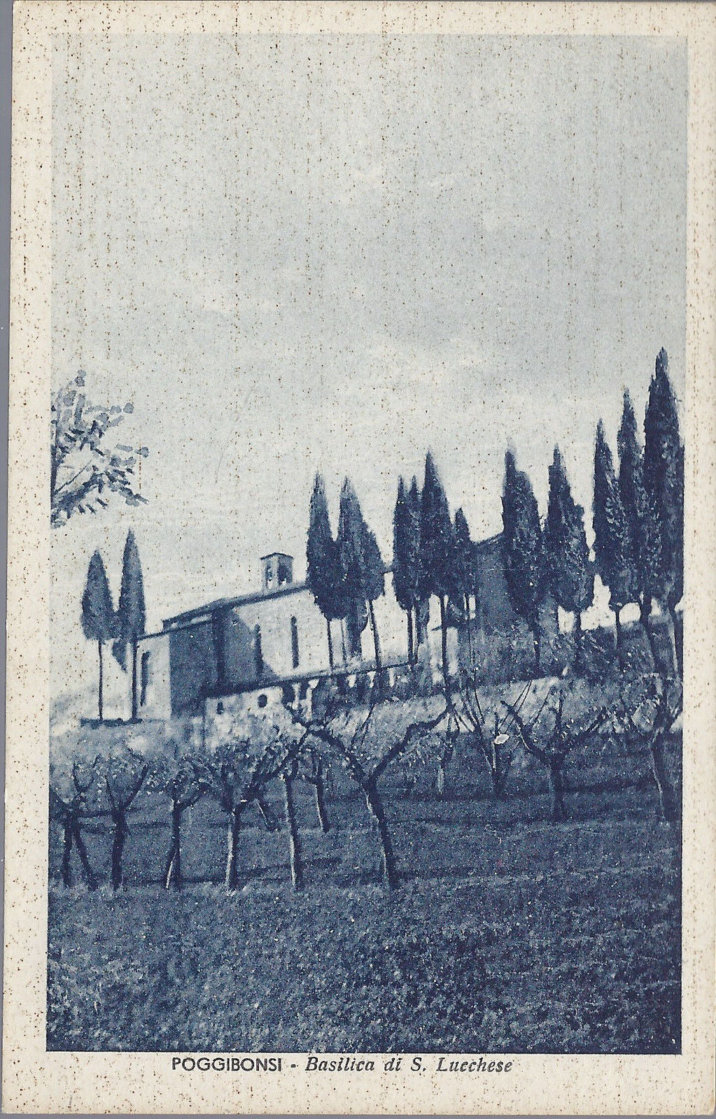 POGGIBONSI - BASILICA DI S. LUCCHESE - NV - FP - azzurrata