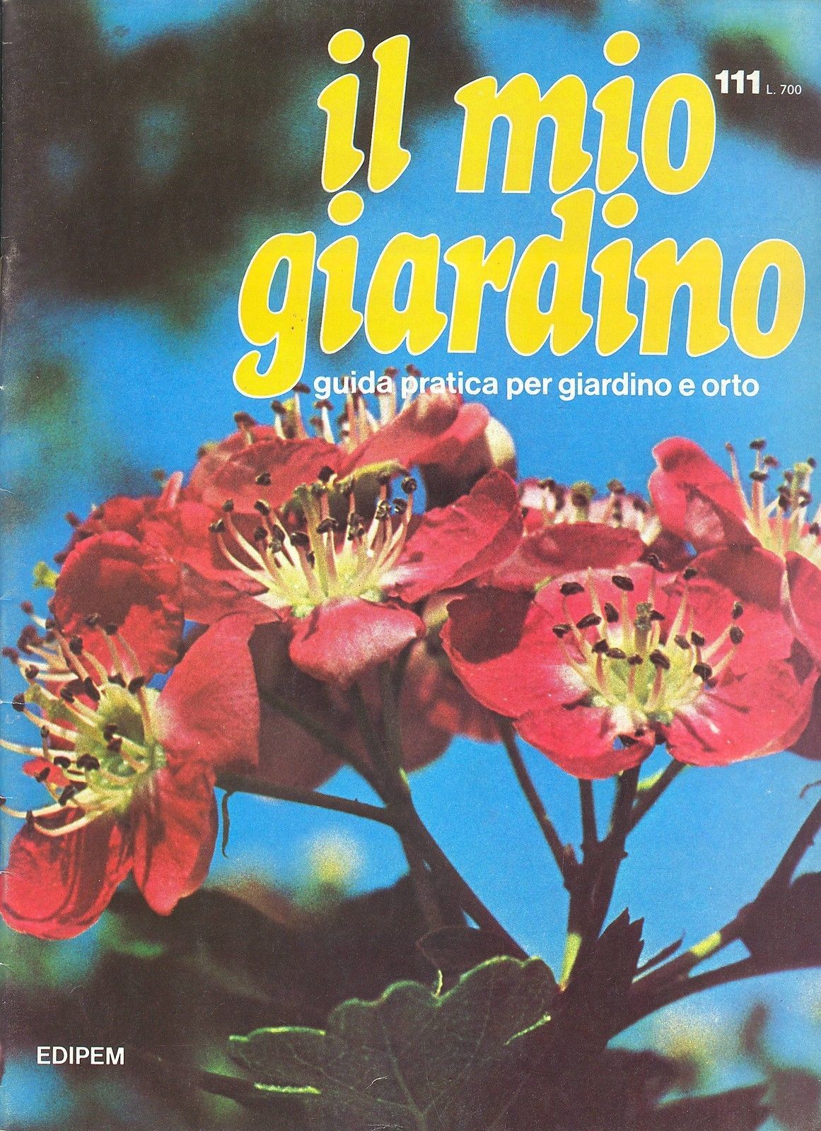 IL MIO GIARDINO N 111
