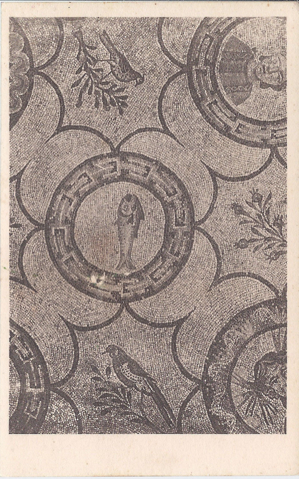 AQUILEIA - MOSAICO - BASILICA DI TEODORO - PARTICOLARE DEL Q