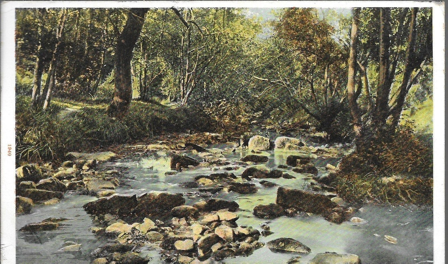 HARROGATE - BIRK BECK - V-T1904