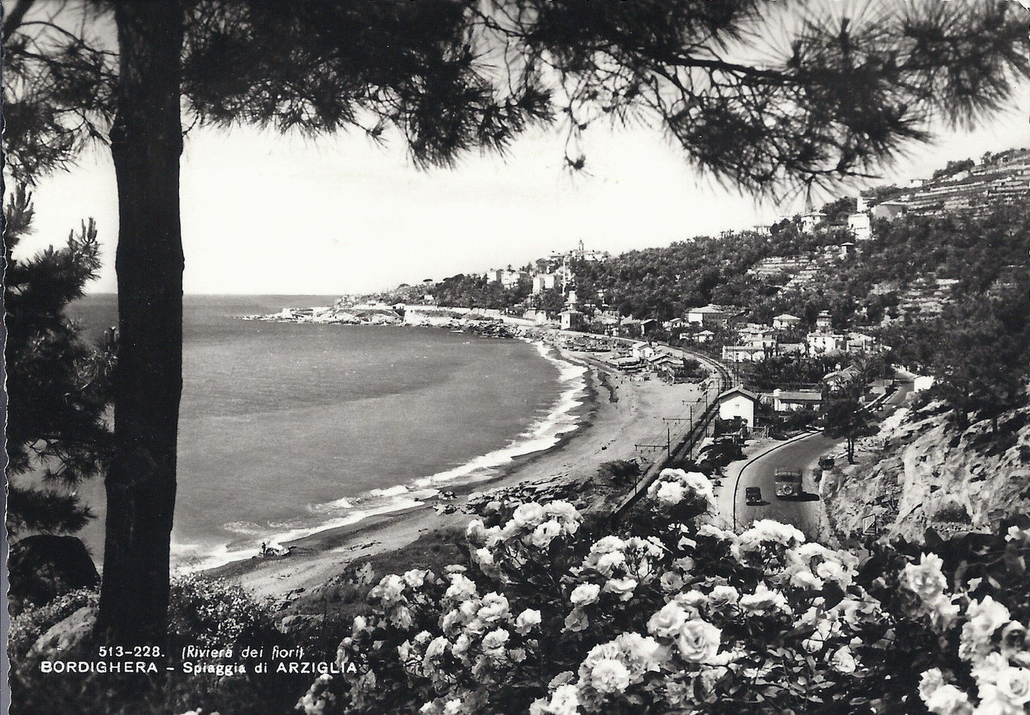 BORDIGHERA - SPIAGGIA DI ARZIGLIA - V1957