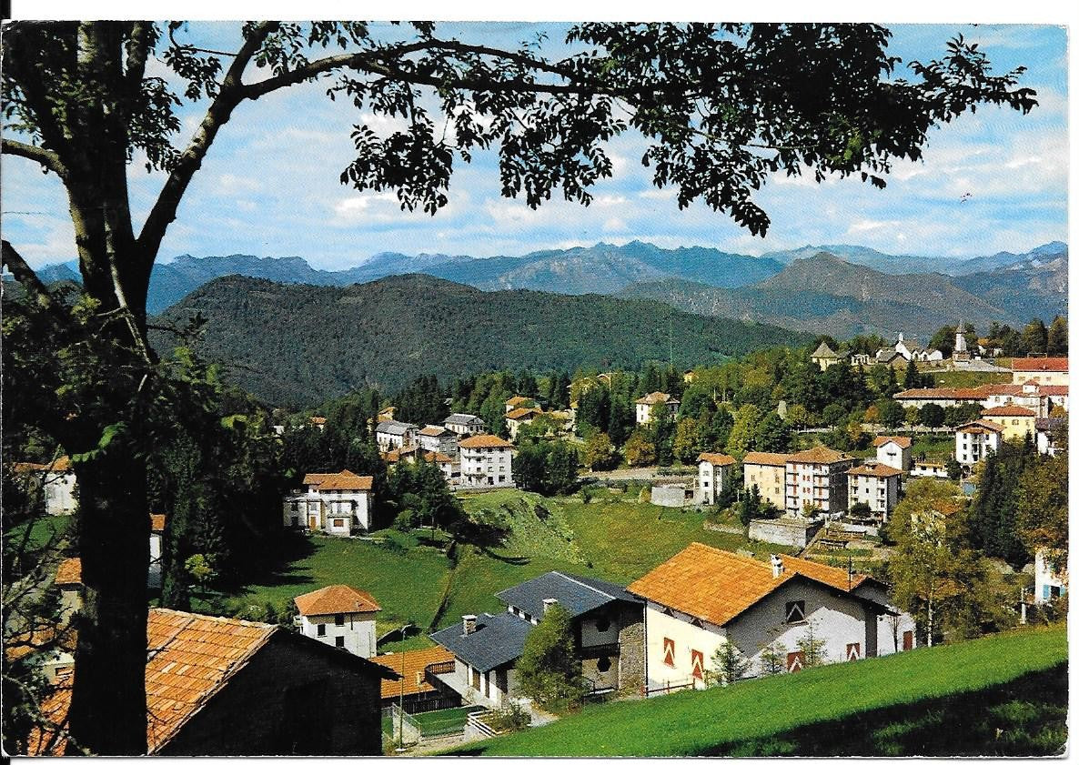 SELVINO - SCORCIO PANORAMICO - V1972