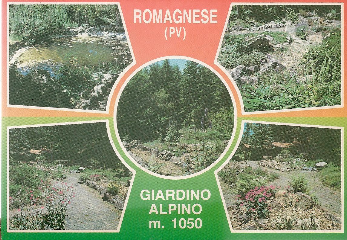 ROMAGNESE - GIARDINO ALPINO - NV