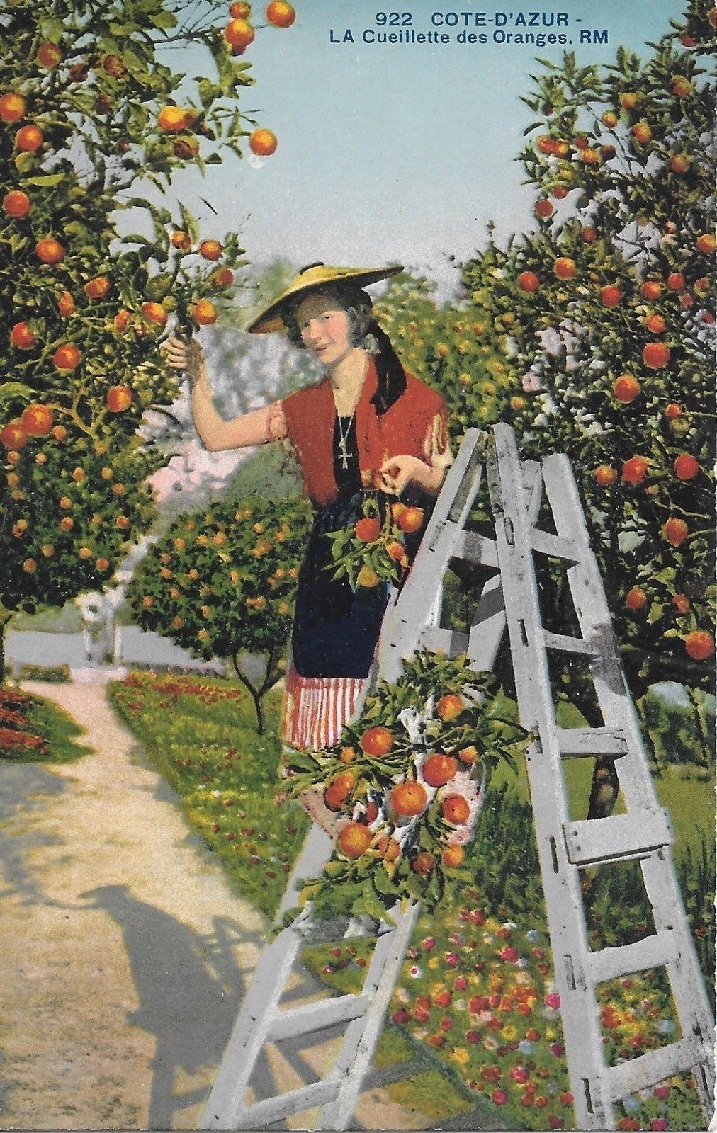 COTE D'AZUR - LA CUEILLETTE DES ORANGE - V IN BUSTA