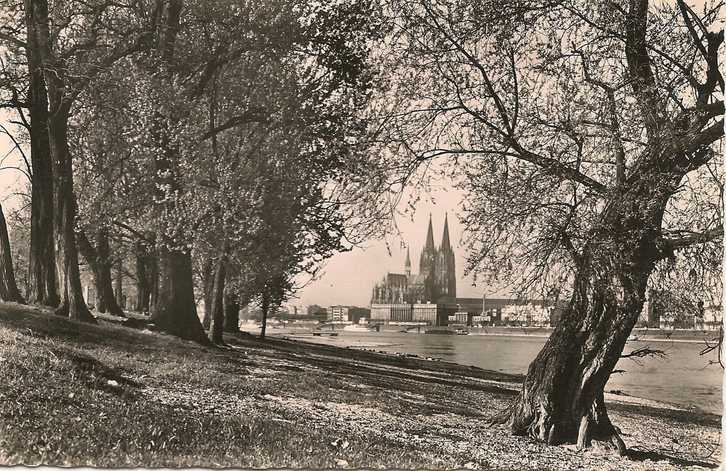 COLONIA SUL RENO/KÖLN AM RHEIN - PANORAMA - NV/NG