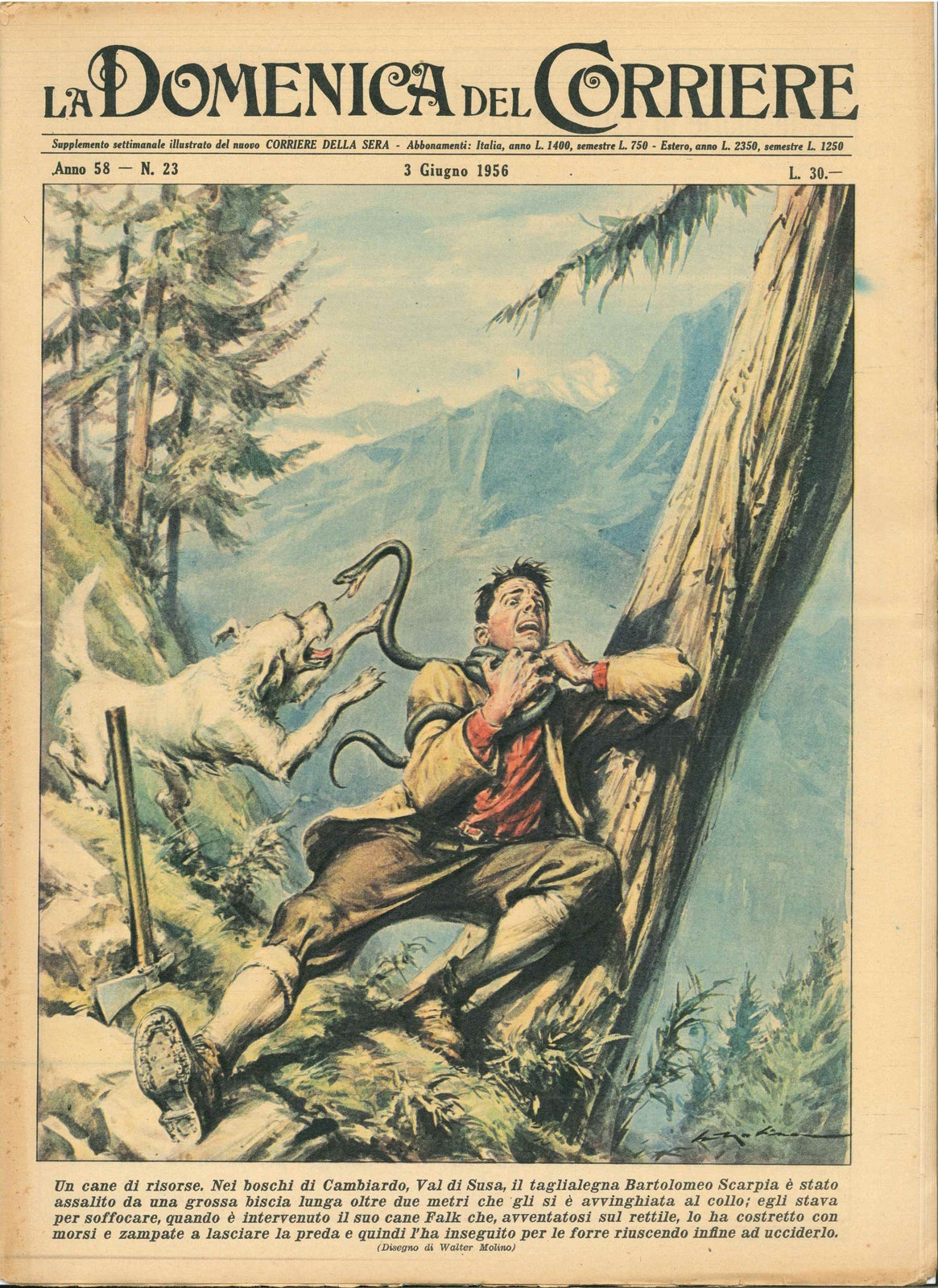DOMENICA DEL CORRIERE N. 23 - 3 GIUGNO 1956 - ILLUSTRATORE WALTER MOLINO