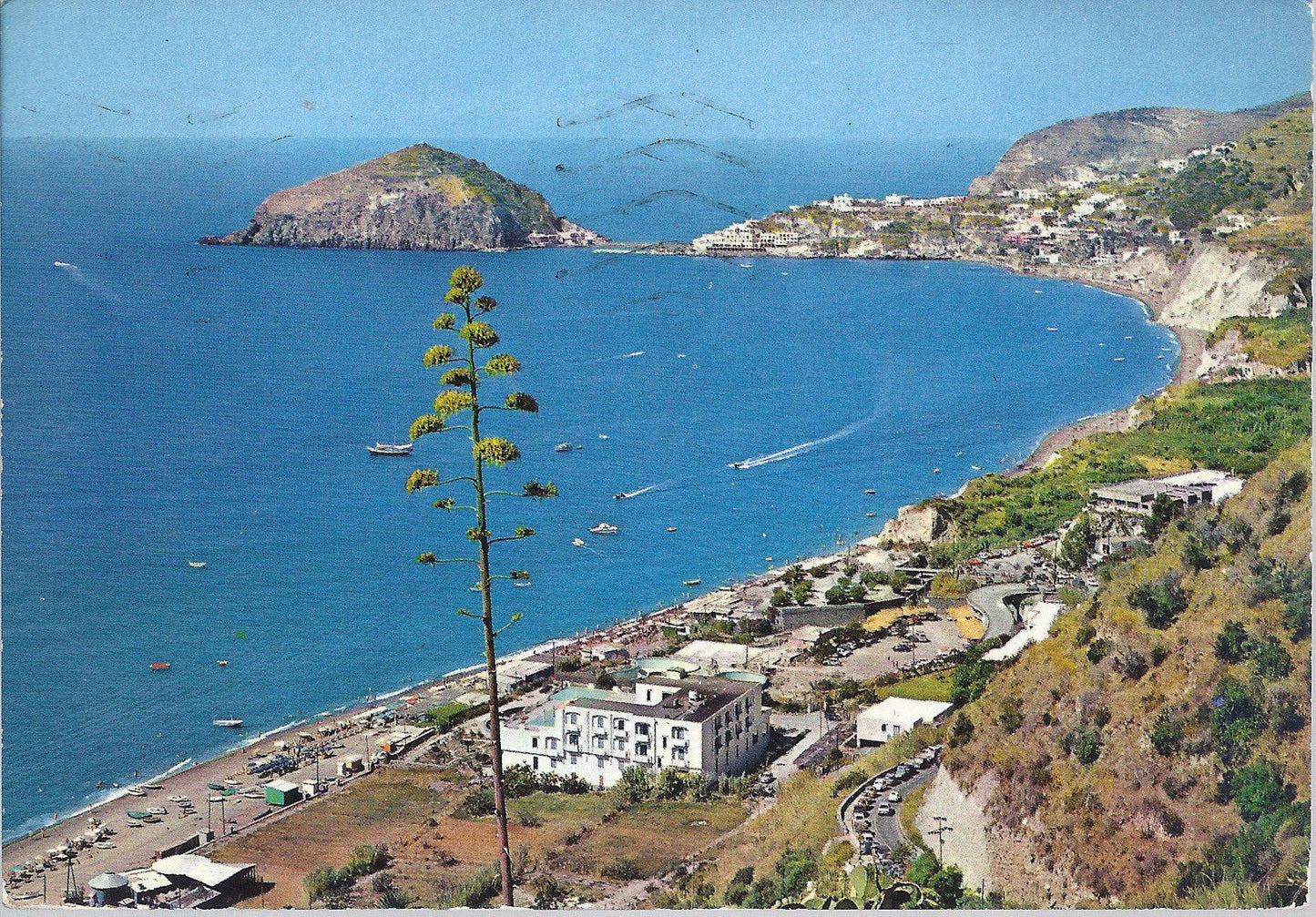 TESTACCIO D'ISCHIA - PANORAMA - V 1972 - FG