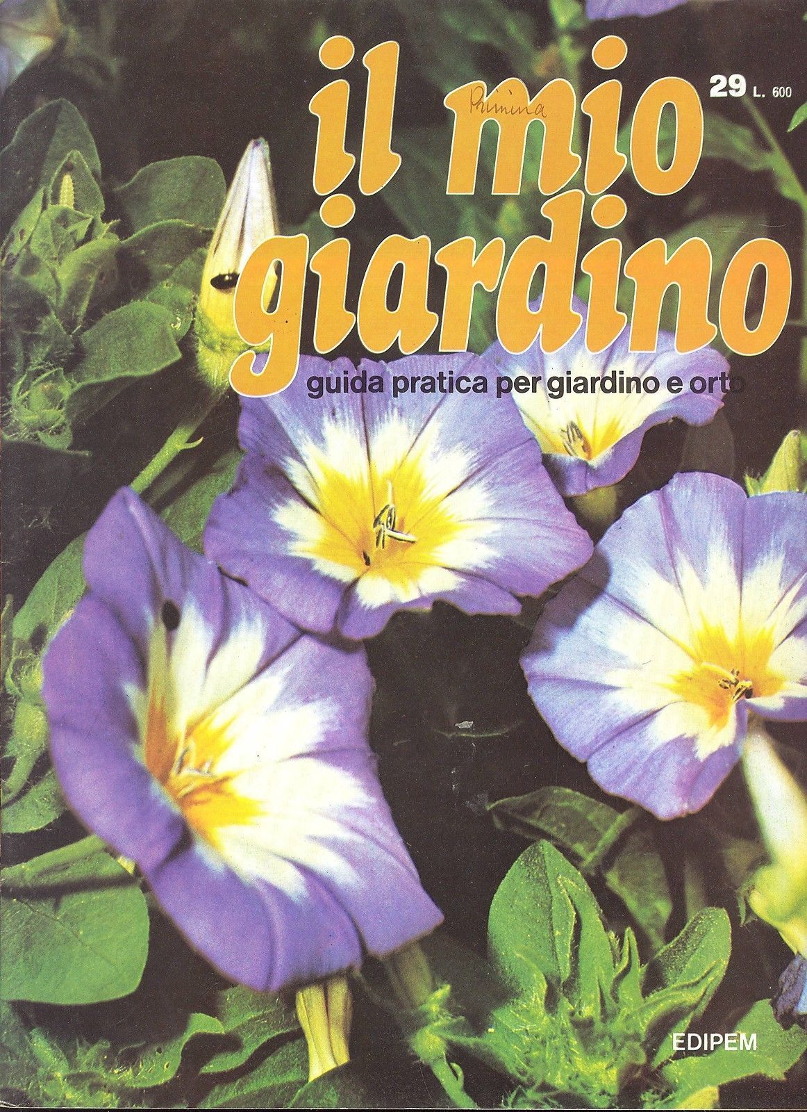 IL MIO GIARDINO N 29
