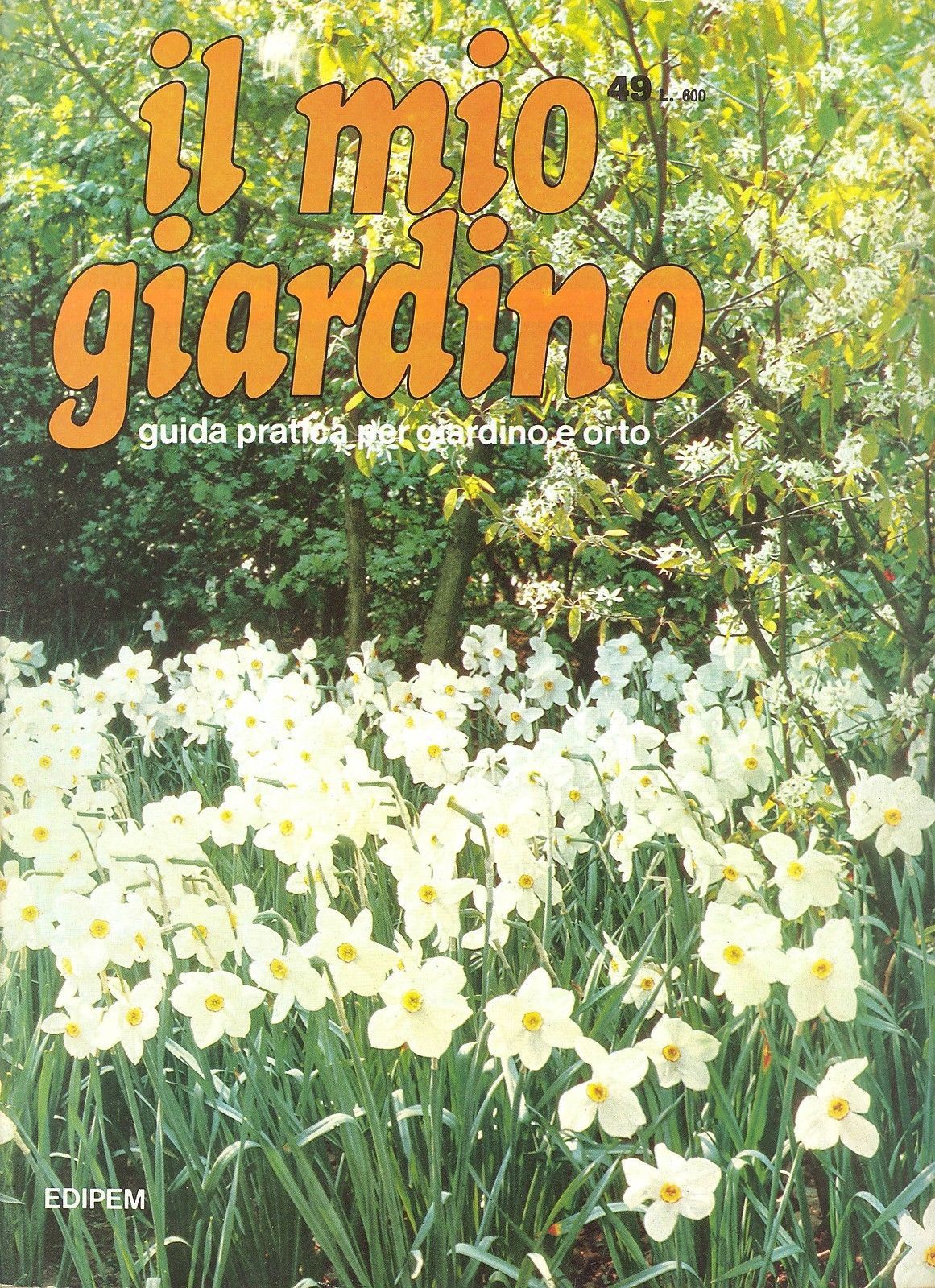 IL MIO GIARDINO N 49