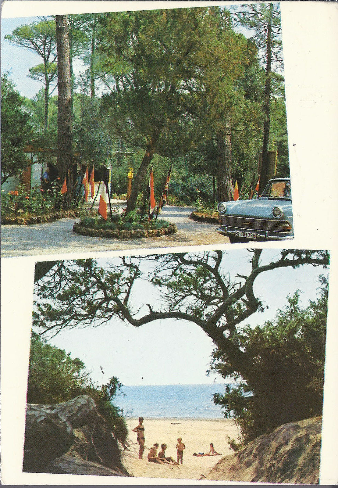 MARINA DI CASTAGNETO DONORATICO - INTERNATIONAL CAMPING ETRU
