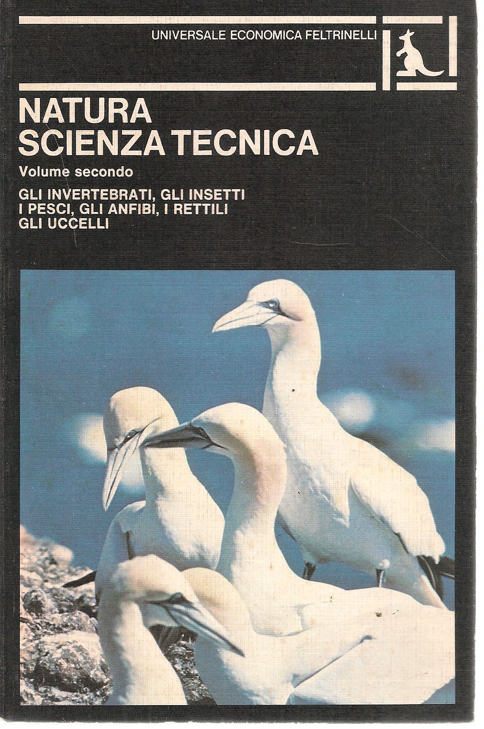 NATURA SCIENZA E TECNICA -VOL. 2-GLI INVERTEBRATI.GLI INSETTI I PESCI GLI ANFIBI