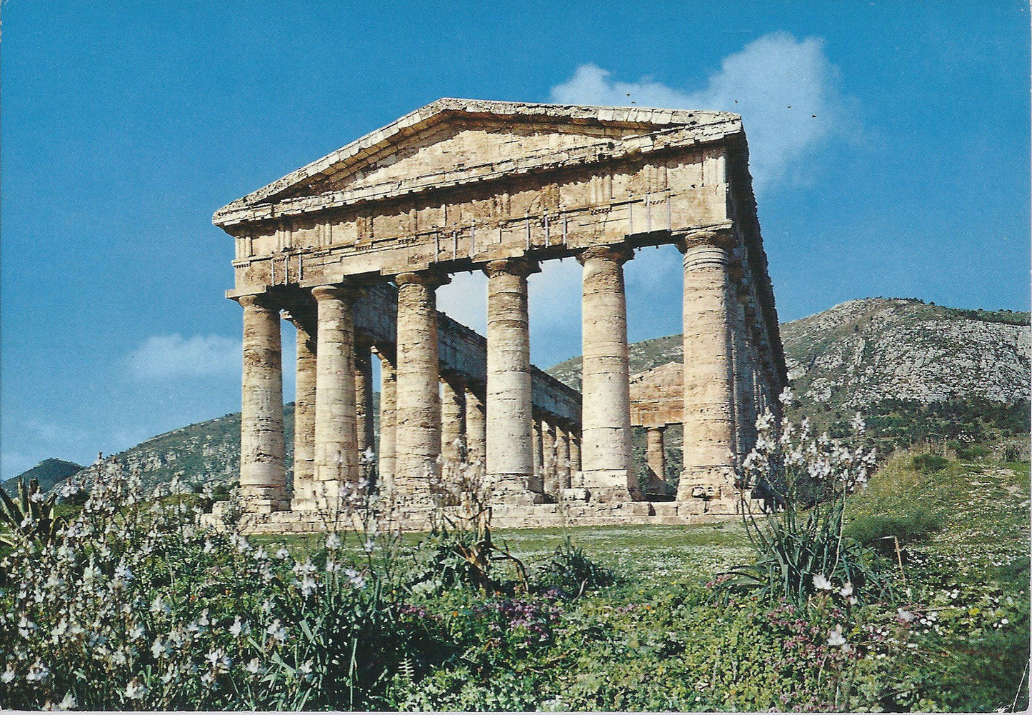 SEGESTA - TEMPIO - NV