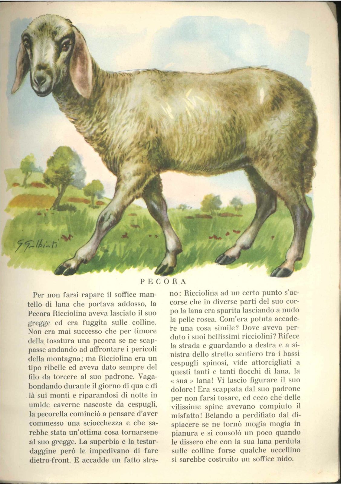 ANIMALI DOMESTICI - EDITRICE BOSCHI - COLLANA FELICITA'