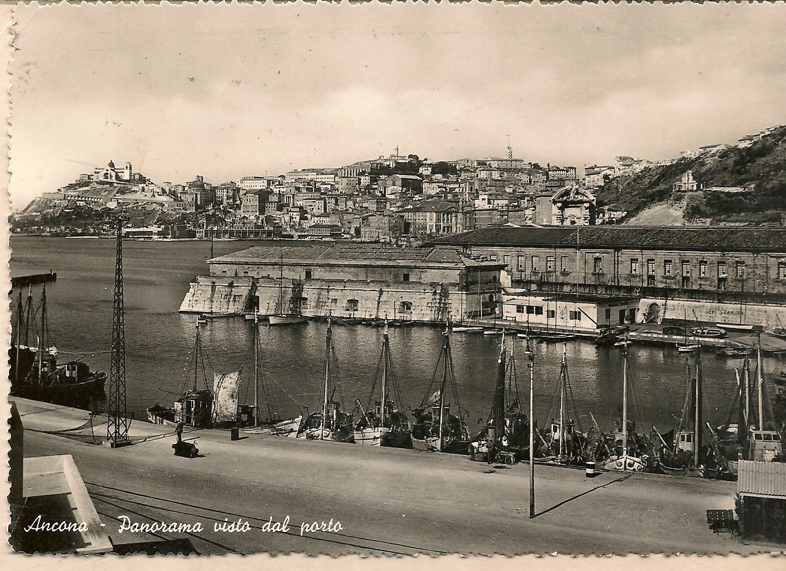 ANCONA - PANORAMA DEL PORTO - V1957