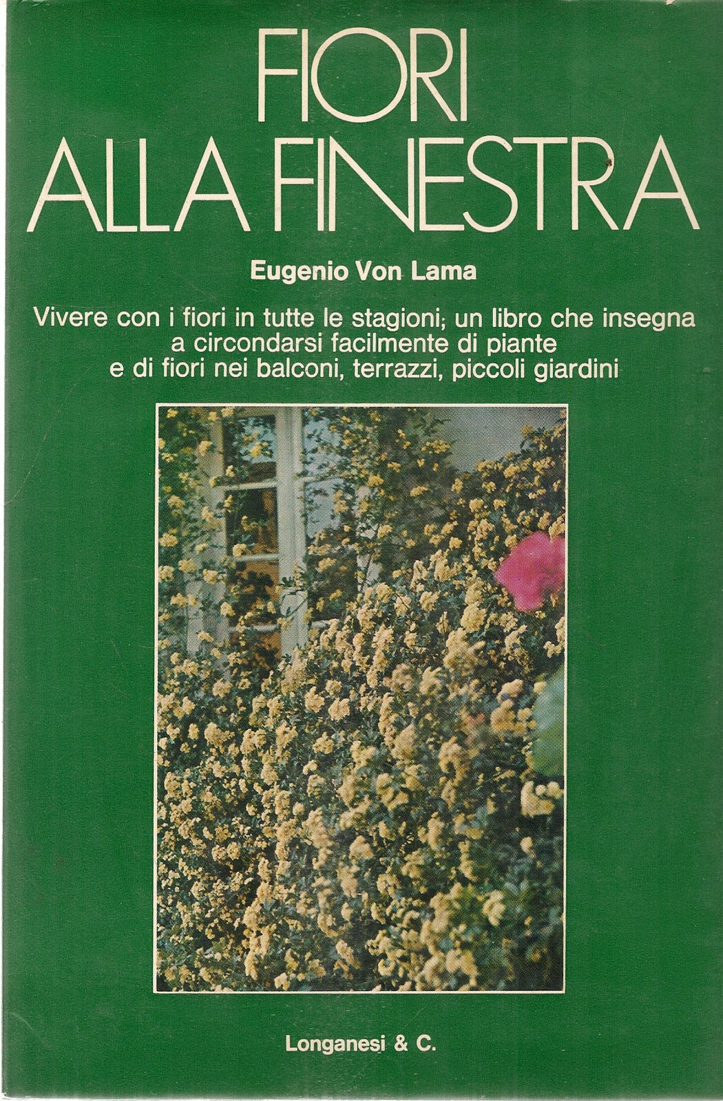 FIORI ALLA FINESTRA - EUGENIO VAN LAMA