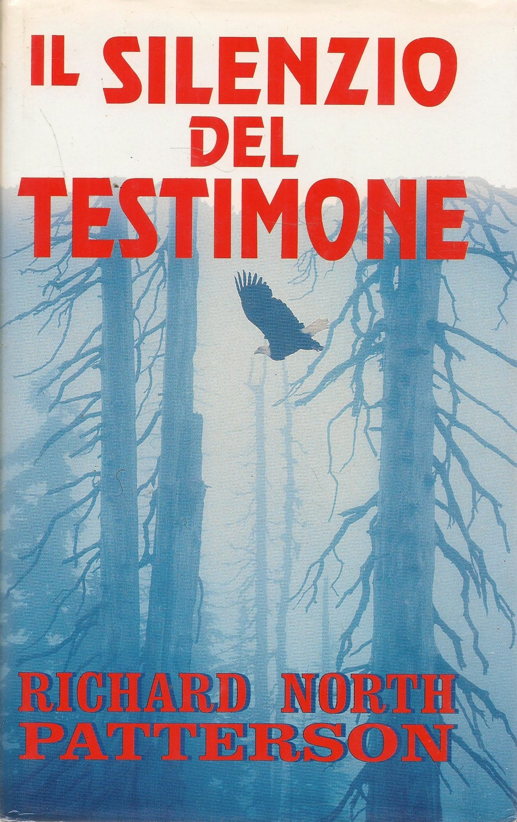 IL SILENZIO DEL TESTIMONE - RICHARD NORTH PATTERSON