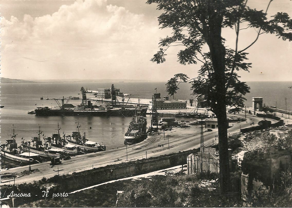 ANCONA - IL PORTO - V1958