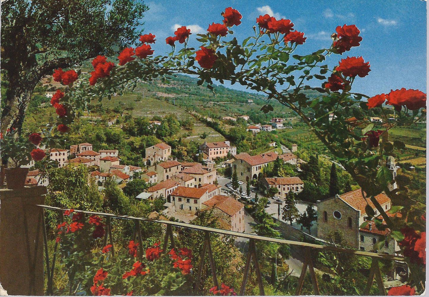ARQUA' PETRARCA - PANORAMA - V1982