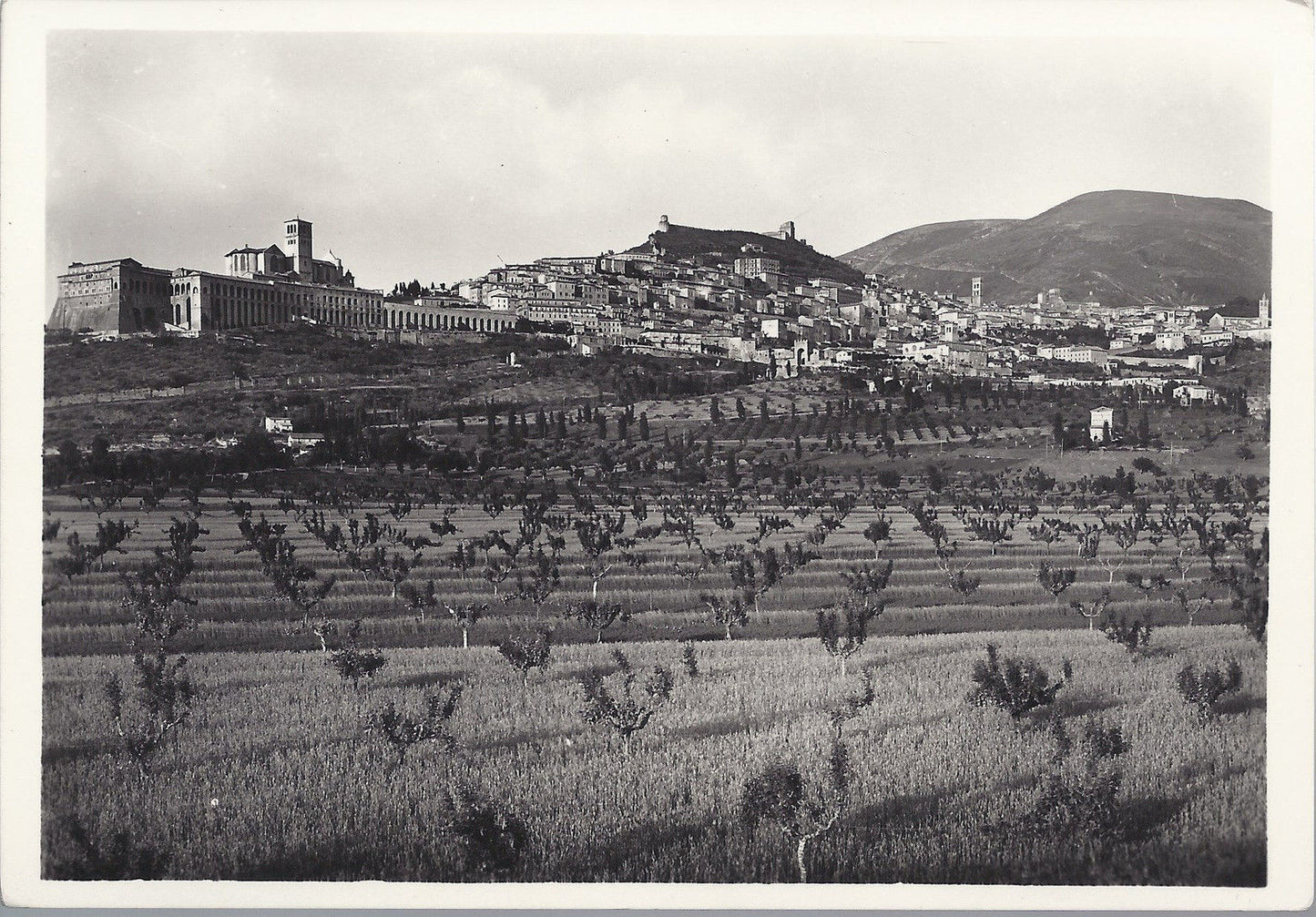 ASSISI - PANORAMA - NV