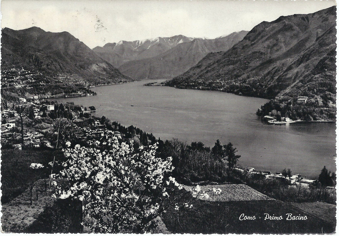 COMO - PRIMO BACINO - V 1951 - FG