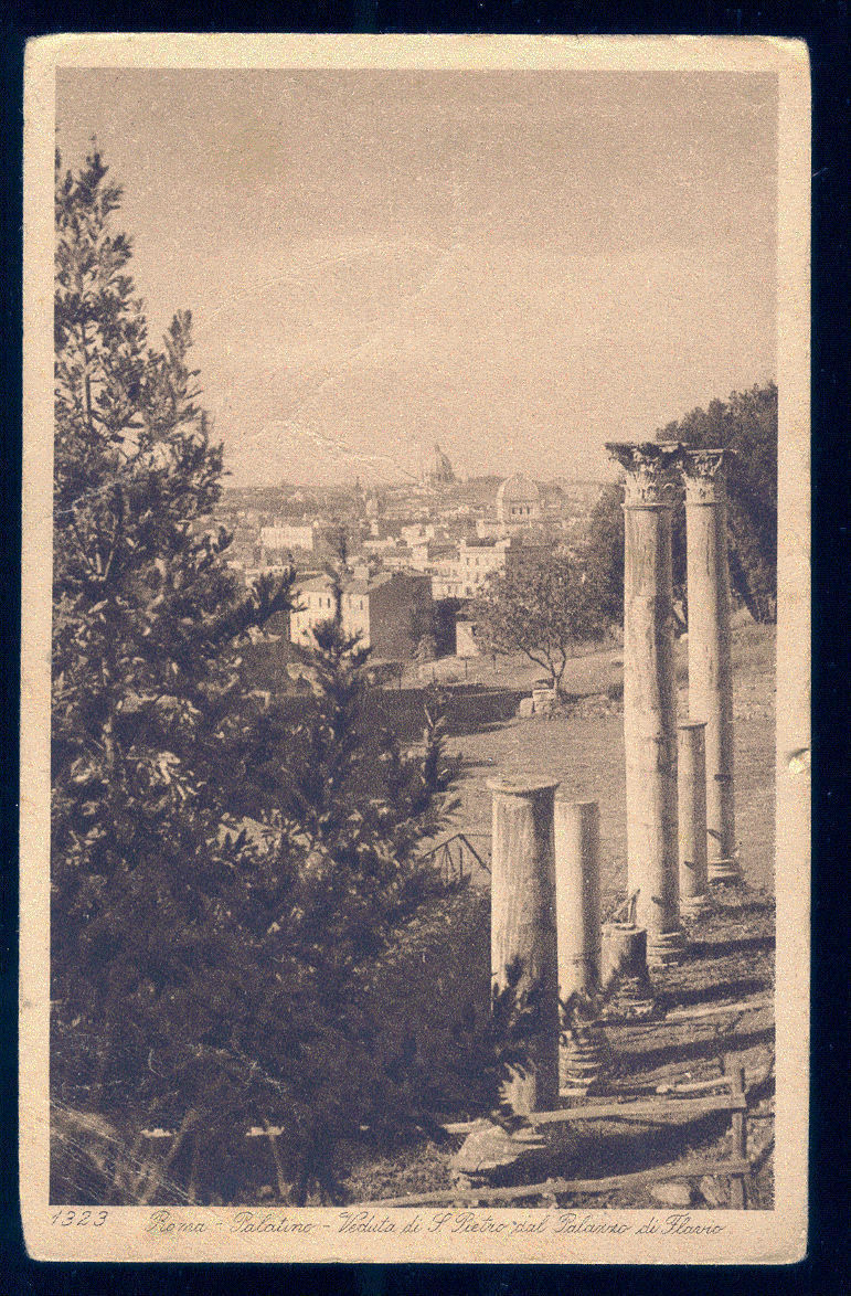 ROMA - PALATINO, VEDUTA DI SAN PIETRO DAL PALAZZO DI FLAVIO