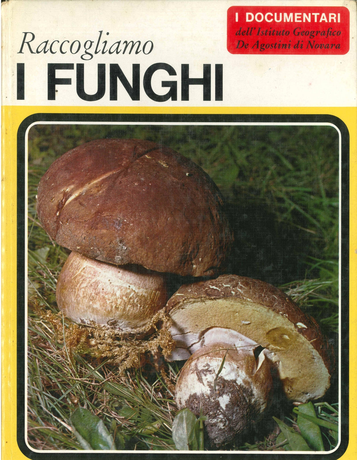 I DOCUMENTARI - RACCOGLIAMO I FUNGHI