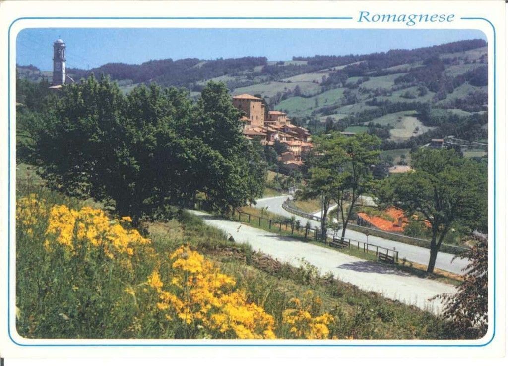 ROMAGNESE - PAVIA - PANORAMA