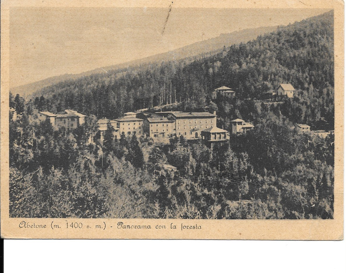 ABETONE - PANORAMA CON LA FORESTA - V