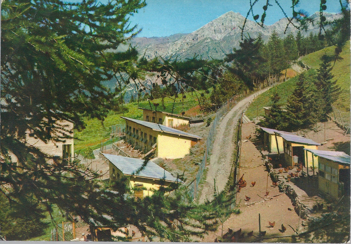 SAUZE D'OULX - ISTITUTO ZOOTECNICO - M. SEGURET - V 198