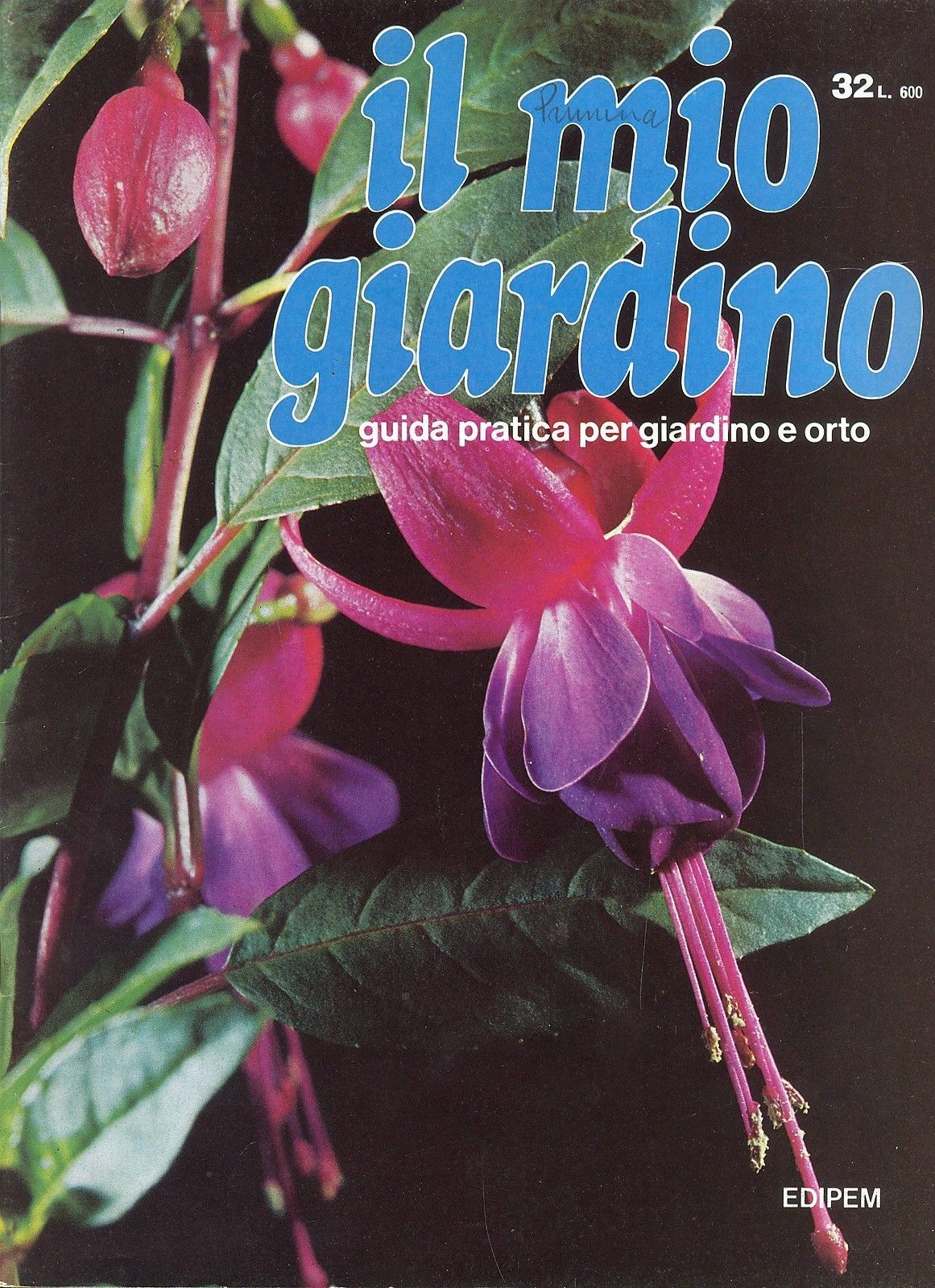 IL MIO GIARDINO N 32