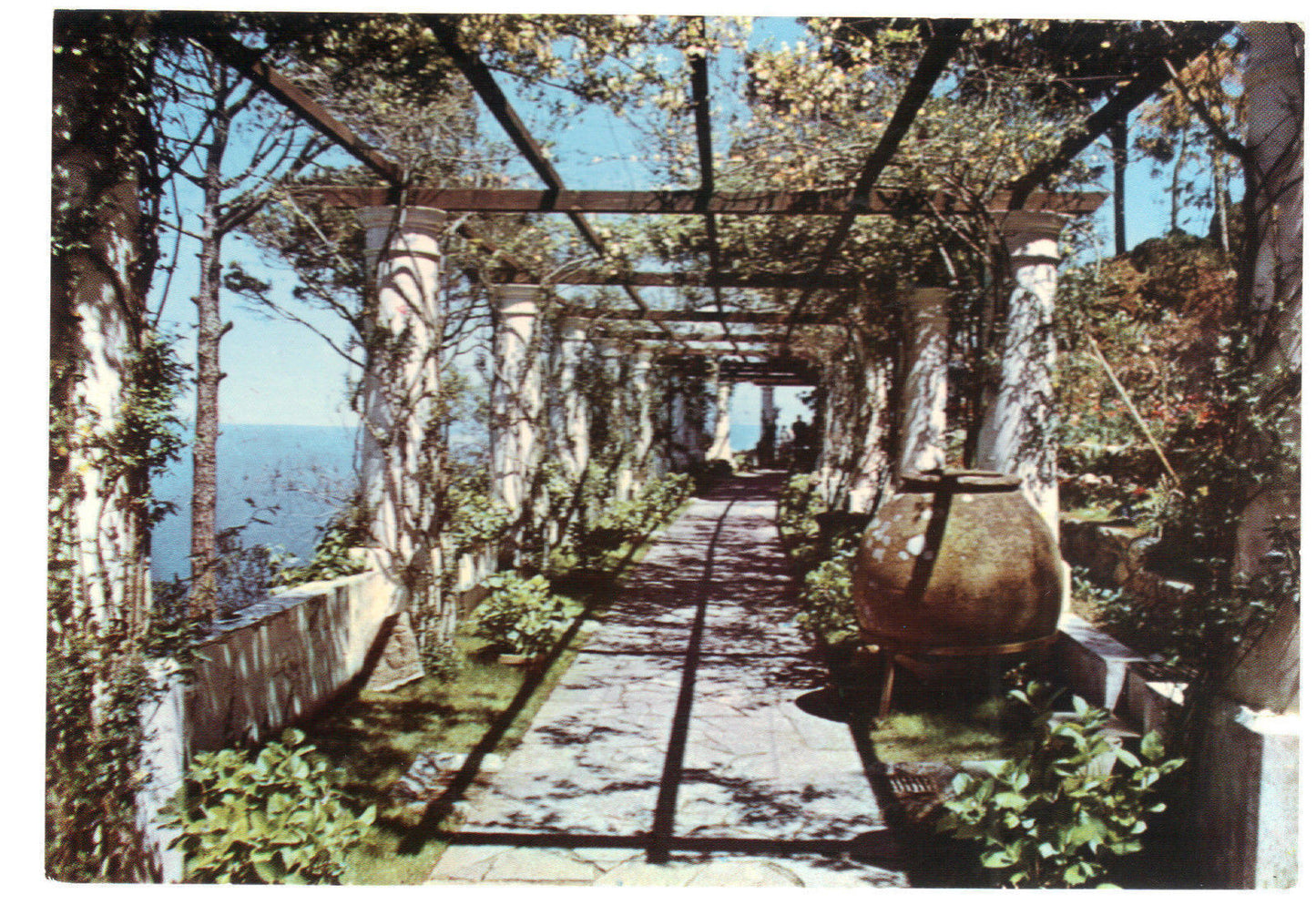 ANACAPRI - SAN MICHELE - LA PERGOLA - NV