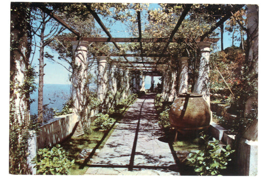 ANACAPRI - SAN MICHELE - LA PERGOLA - NV