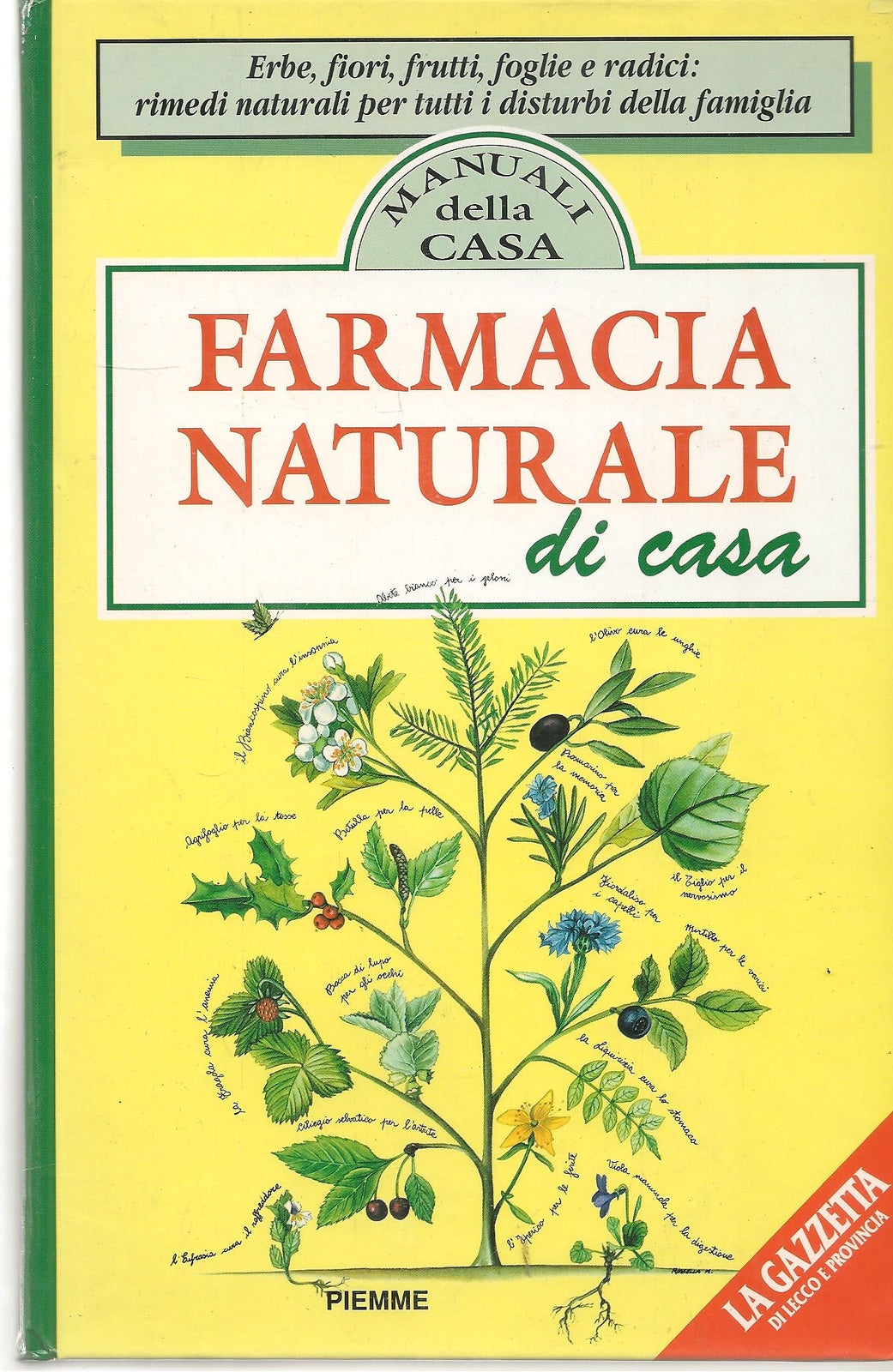 FARMACIA NATURALE DI CASA - MANNFRIED PAHLOW