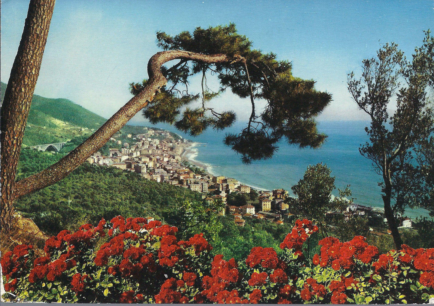VARAZZE - PANORAMA - NV